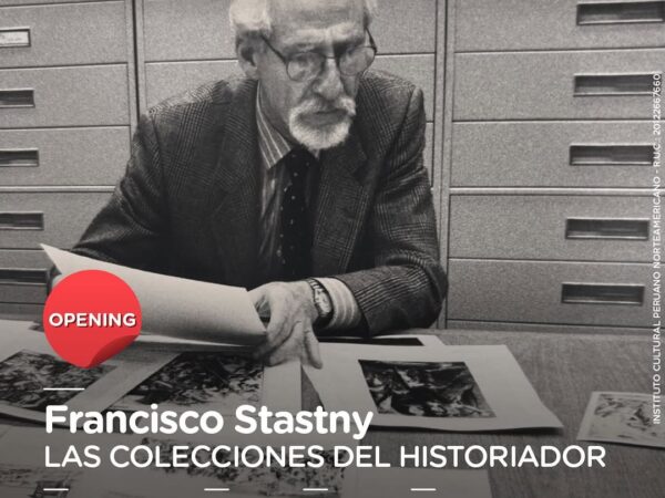 LAS COLECCIONES DEL HISTORIADOR