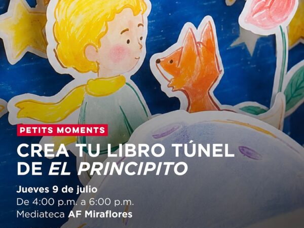 CREA TU LIBRO TÚNEL
