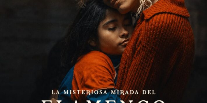 LA MISTERIOSA MIRADA DEL FLAMENCO