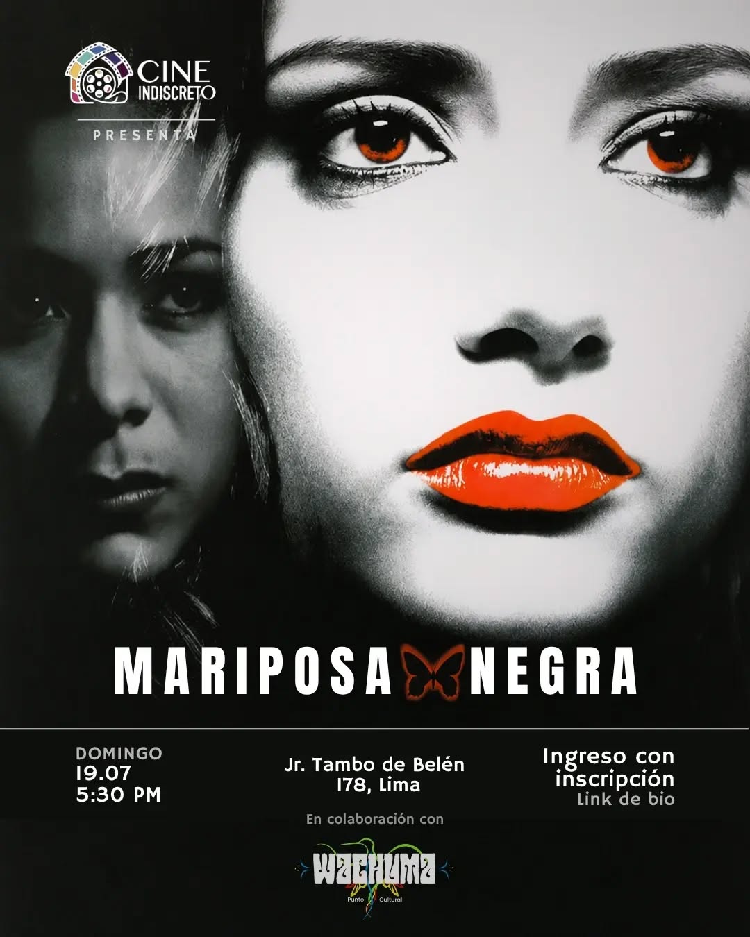 MARIPOSA NEGRA