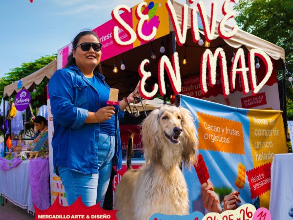 MERCADILLO DE ARTE Y DISEÑO
