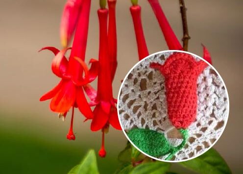 TEJIENDO LA FLOR NACIONAL DEL PERÚ