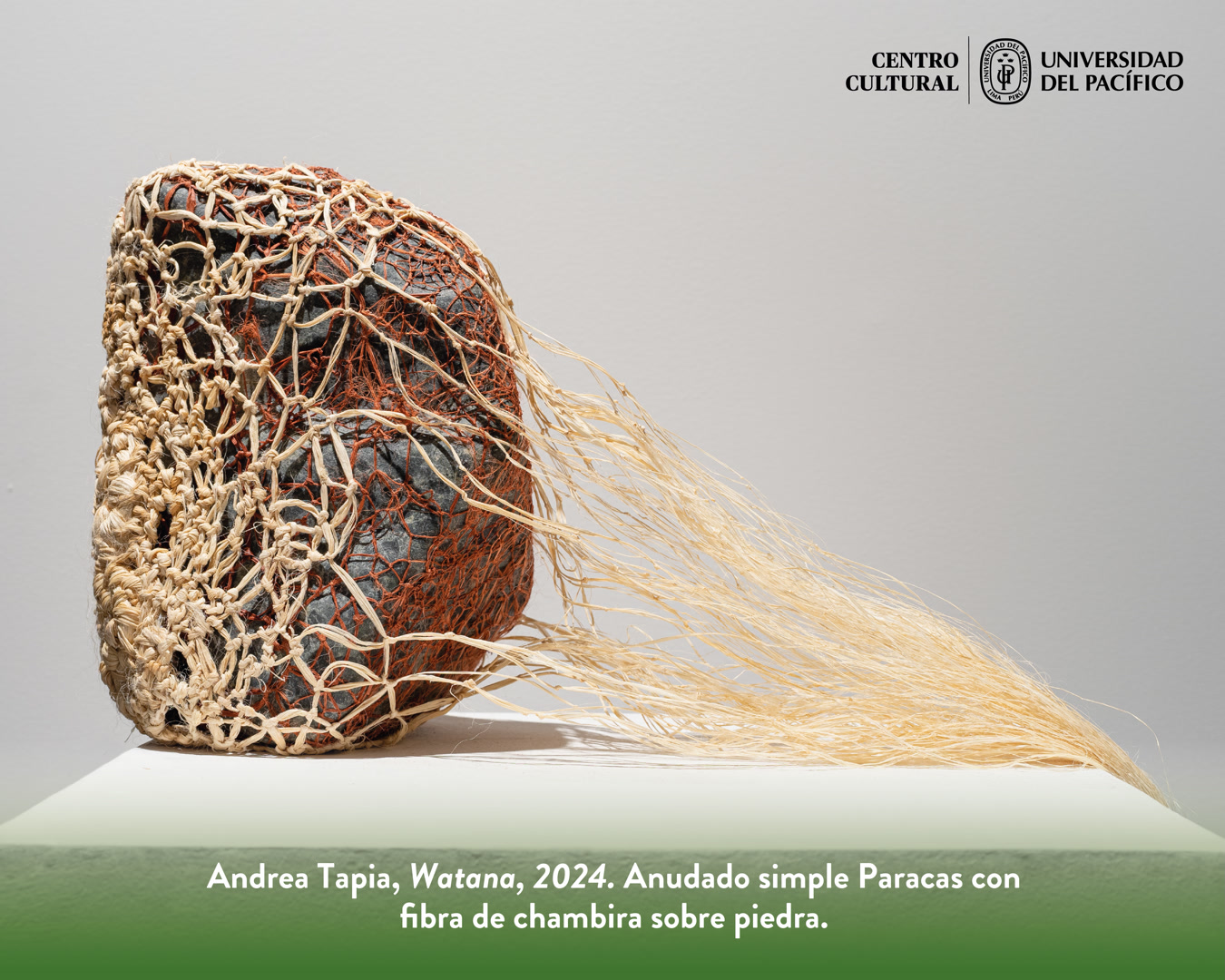 A PROPÓSITO DE LA NATURALEZA