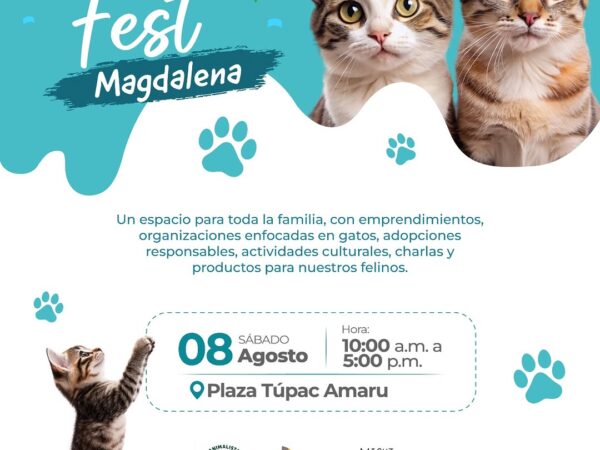 MIAU FEST MAGDALENA