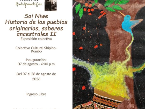HISTORIA DE LOS PUEBLOS ORIGINARIOS