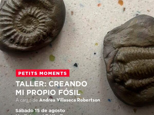 CREANDO MI PROPIO FÓSIL