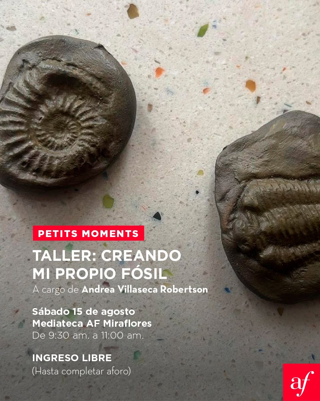 CREANDO MI PROPIO FÓSIL