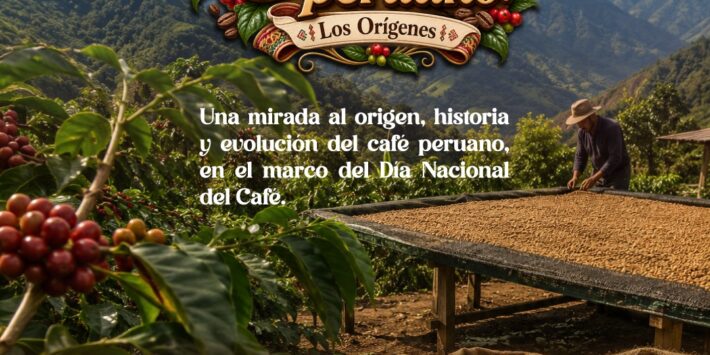 CAFÉ PERUANO: LOS ORÍGENES