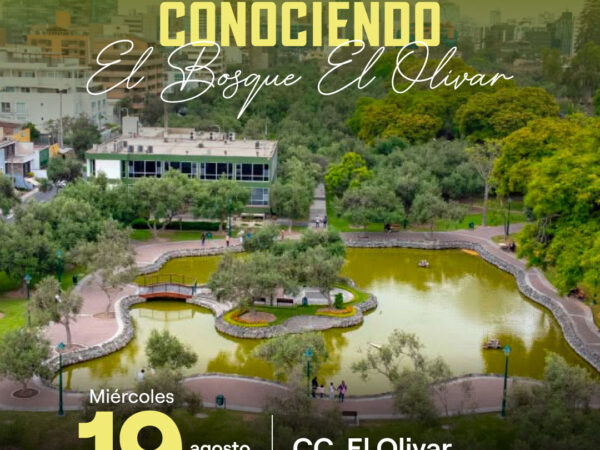CONOCIENDO EL BOSQUE EL OLIVAR