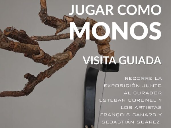 JUGAR COMO MONOS