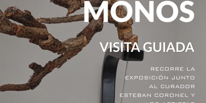 JUGAR COMO MONOS