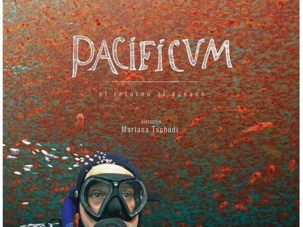 PACIFICUM