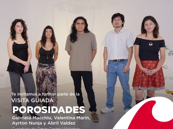 POROSIDADES