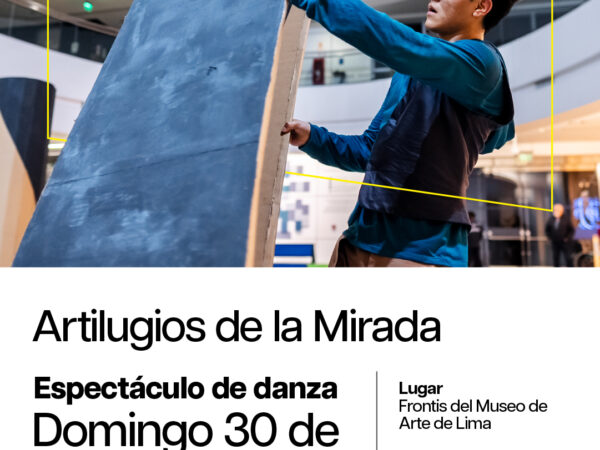 ARTILUGIOS DE LA MIRADA