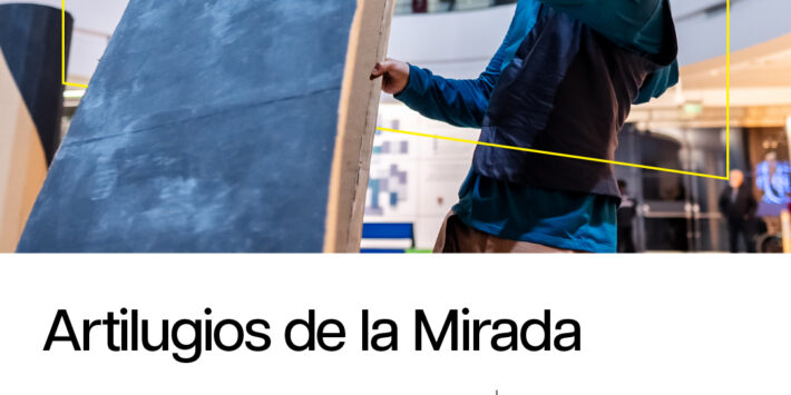 ARTILUGIOS DE LA MIRADA