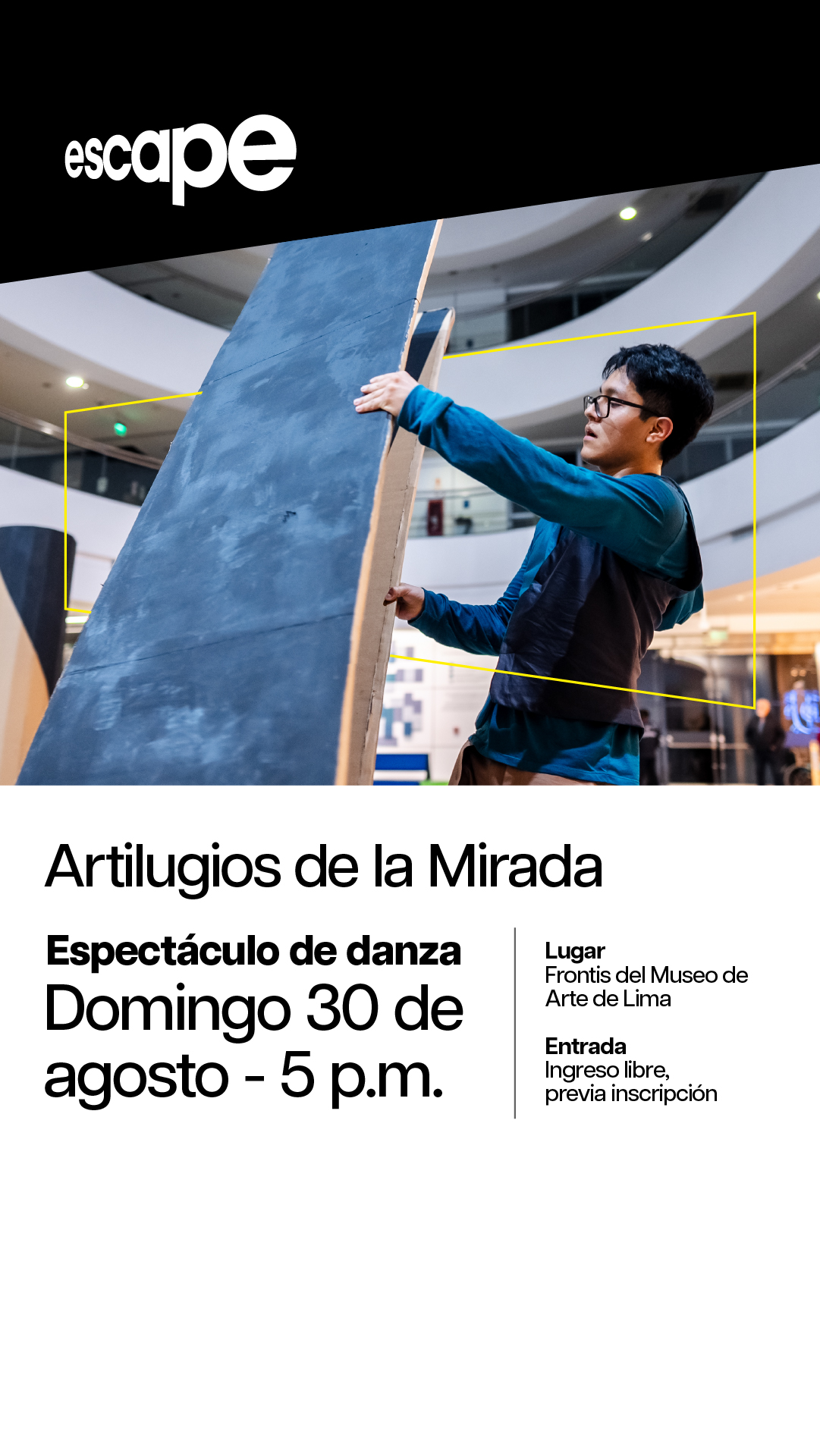ARTILUGIOS DE LA MIRADA