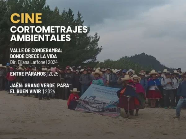 CORTOMETRAJES AMBIENTALES