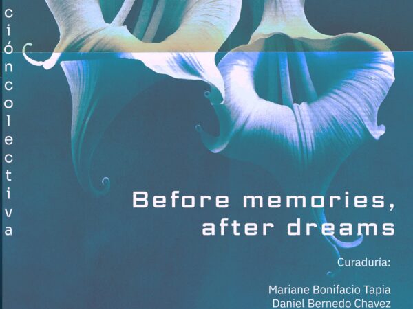 BEFORE MEMORIES AFTER DREAMS
