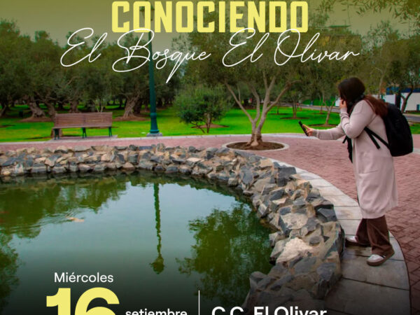 CONOCIENDO EL BOSQUE EL OLIVAR