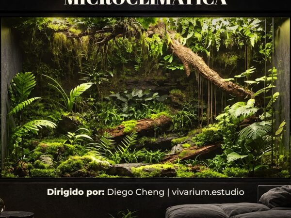 ARQUITECTURA MICROCLIMÁTICA
