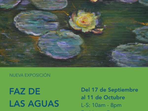 FAZ DE LAS AGUAS