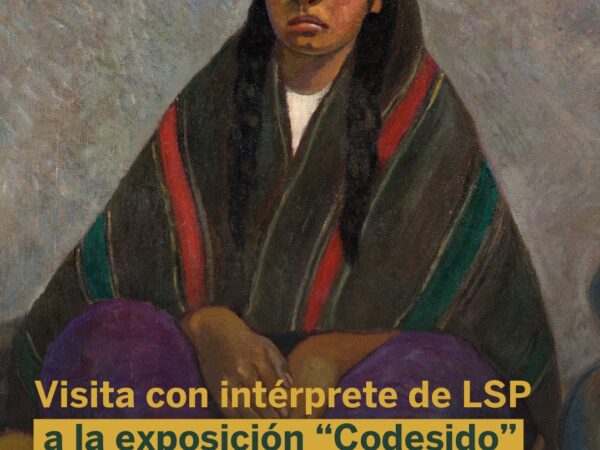 CODESIDO: EXPERIENCIA ACCESIBLE