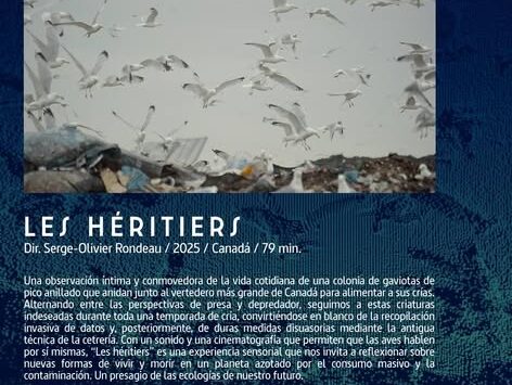 LES HÉRITIERS