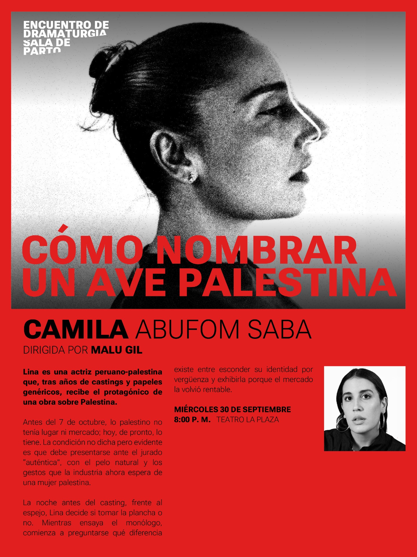 CÓMO NOMBRAR UN AVE PALESTINA