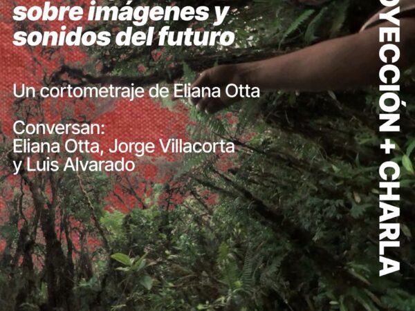PREGUNTANDO A PÁJAROS, ÁRBOLES Y FANTASMAS