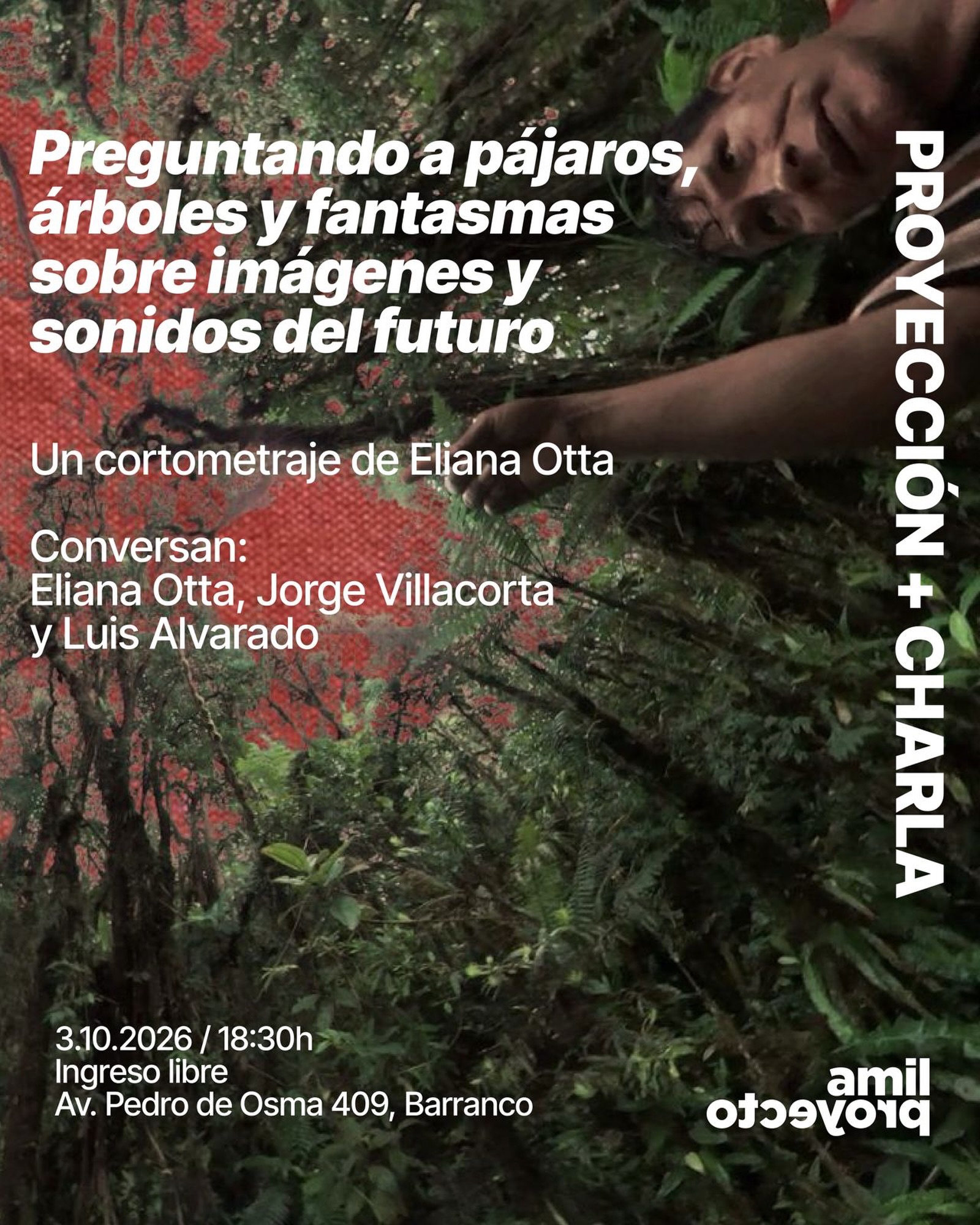 PREGUNTANDO A PÁJAROS, ÁRBOLES Y FANTASMAS