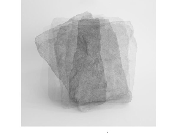 LA CONDICIÓN DE LA PIEDRA