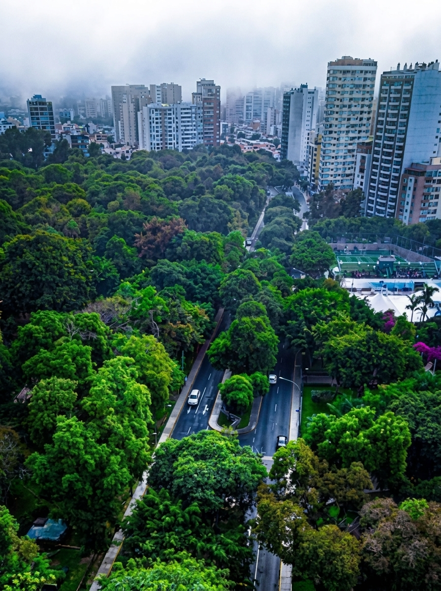 Una reserva ambiental en medio de la ciudad