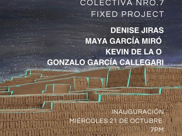 COLECTIVA NRO. 7 FIXED PROJECT
