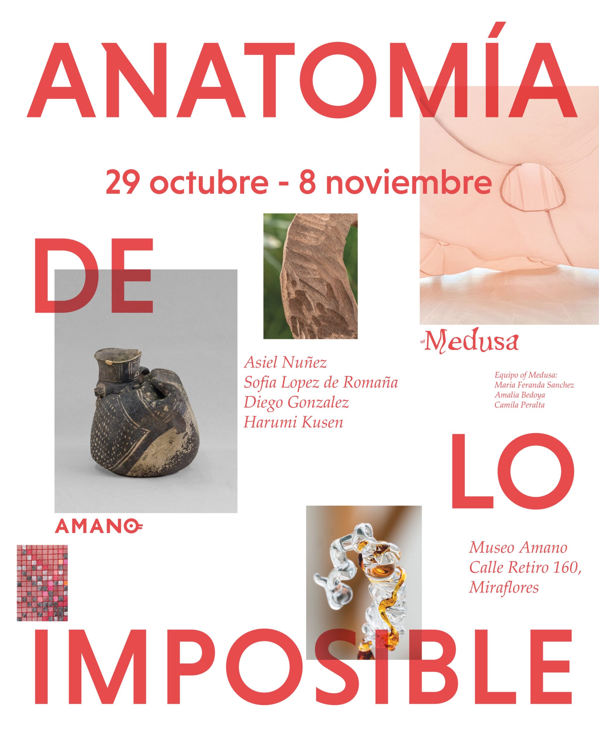 ANATOMÍA DE LO IMPOSIBLE